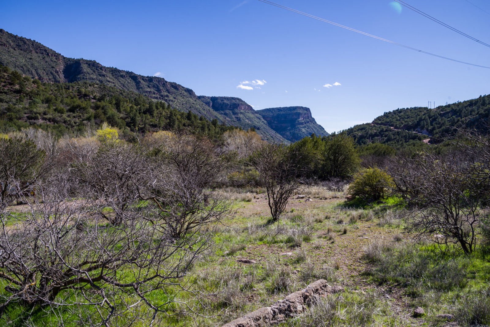 Construcción de alberca de concreto que ilustra una guía comparativa de materiales
